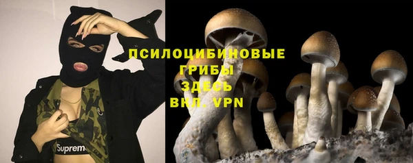 spice Абинск